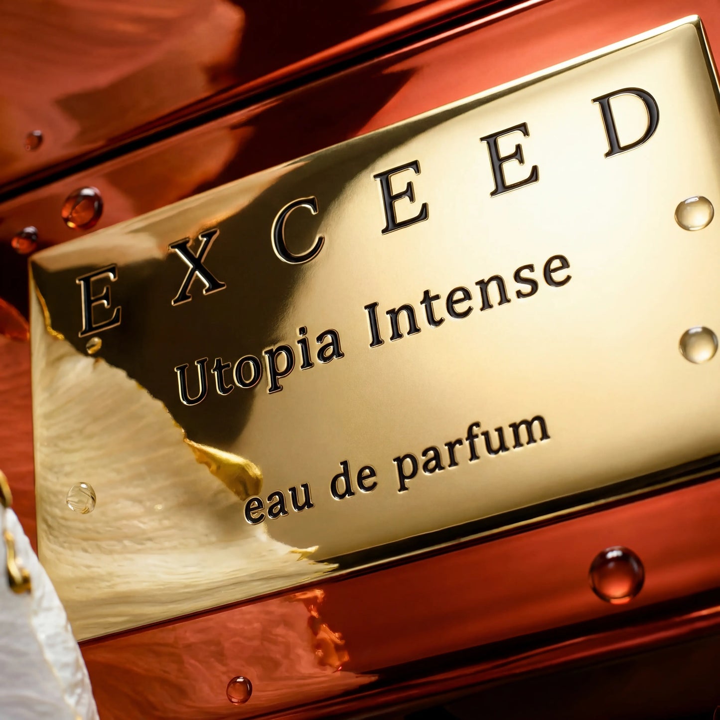 exceed-utopia intense
