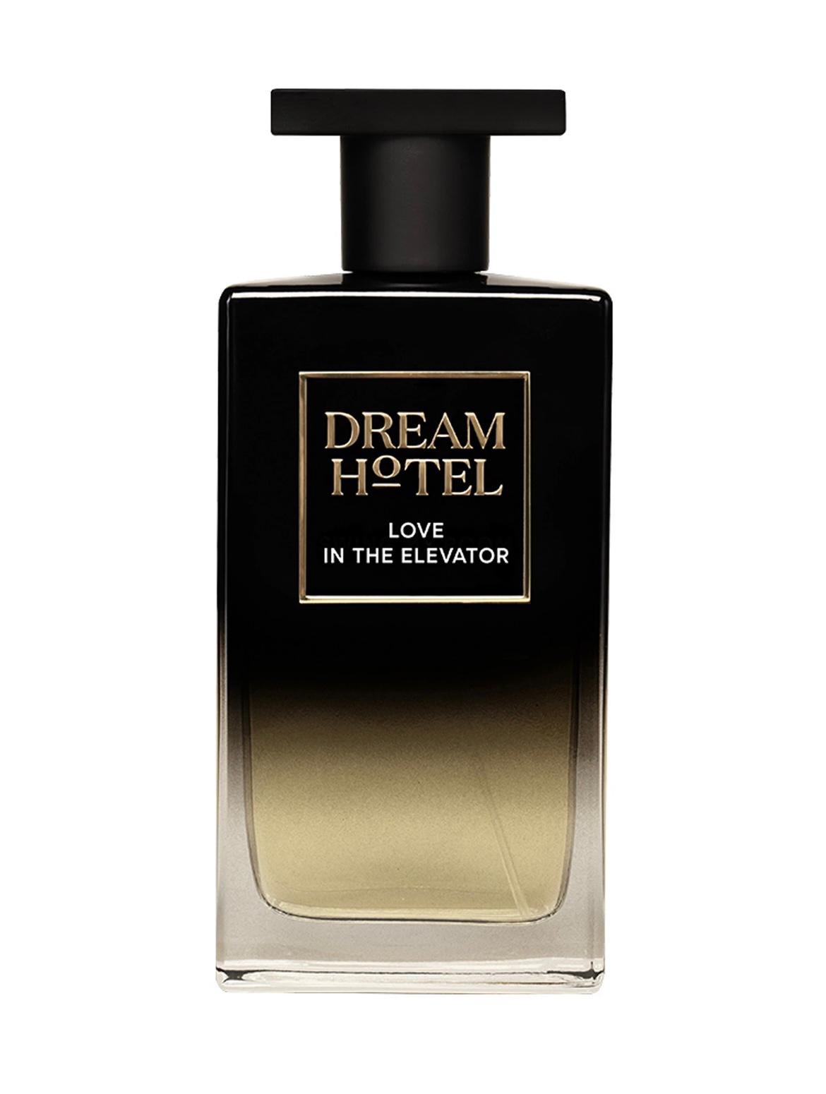 dream hotel-love in the elevator