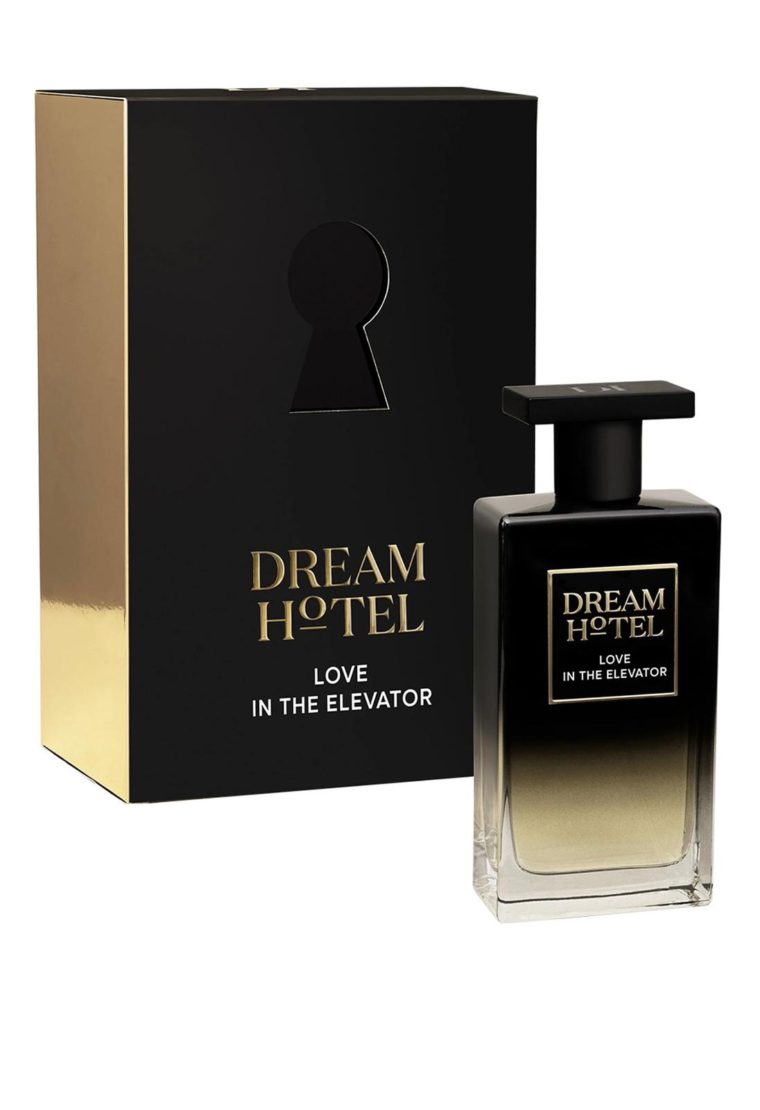 dream hotel-love in the elevator