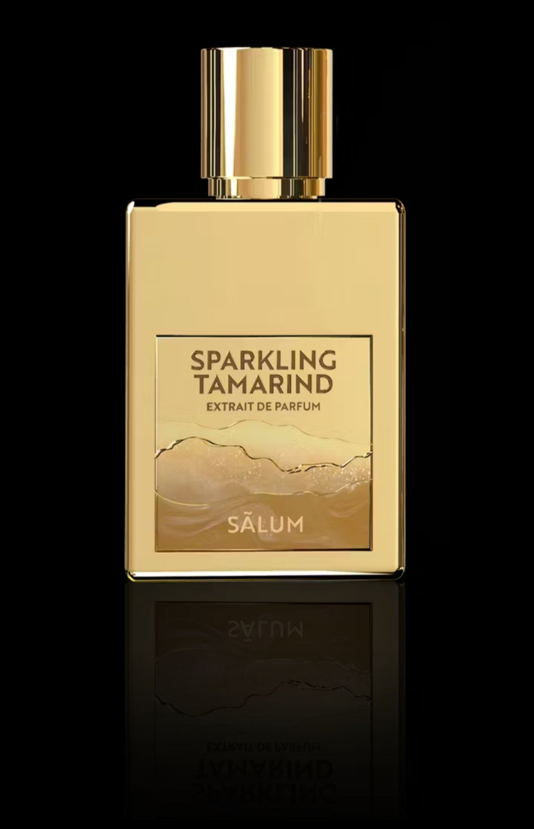 salum-sparkling tamarind