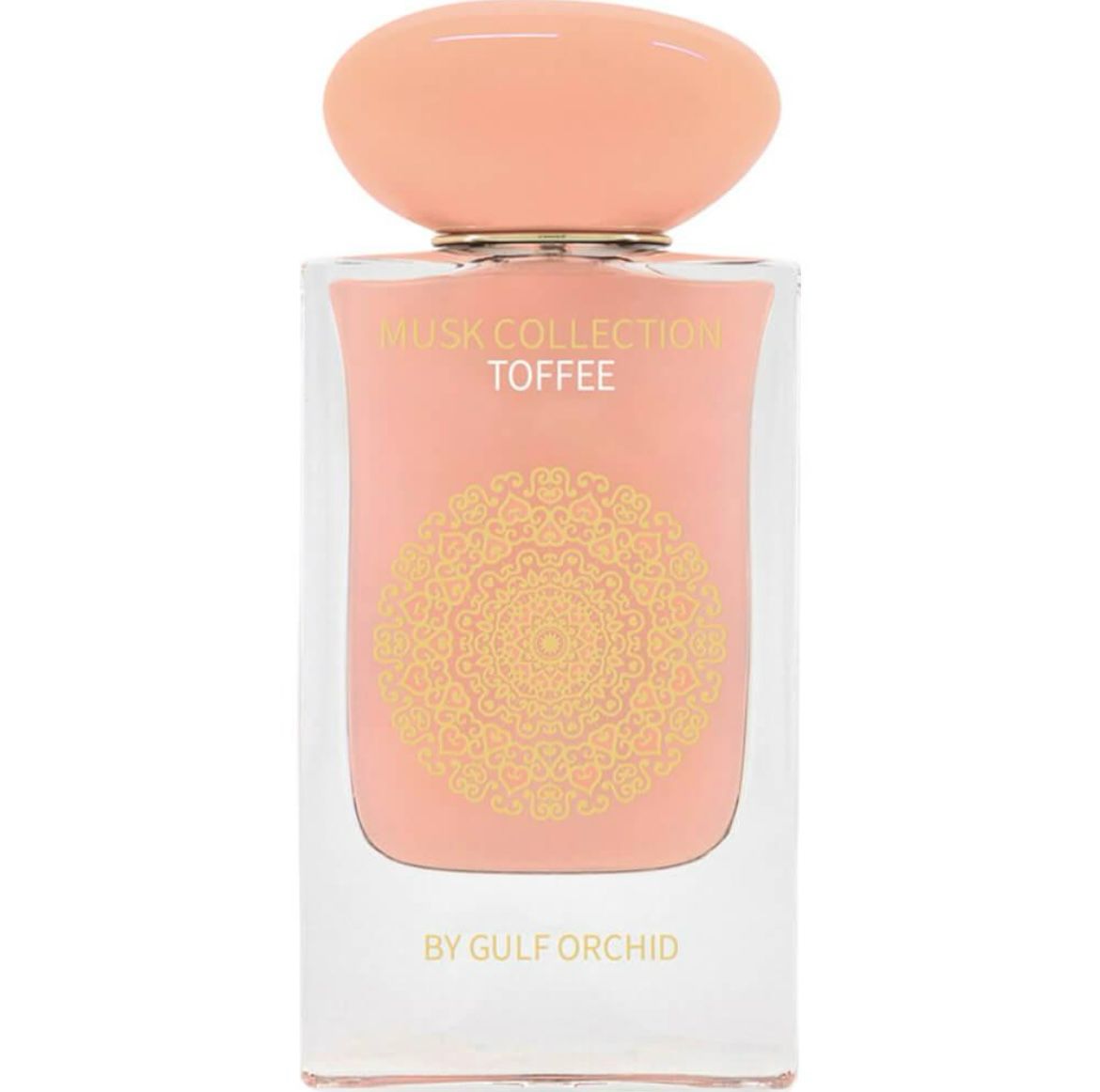 gulf orchid-toffee