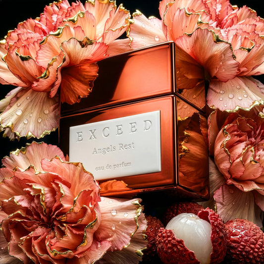 EXCEED-ANGELS REST